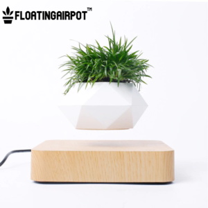 Levitating Plant Pot